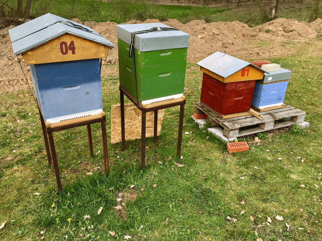 Save Bee - installer une ruche dans son jardin